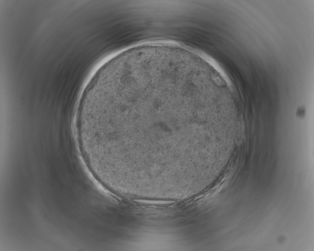 X0000116860959201002021103