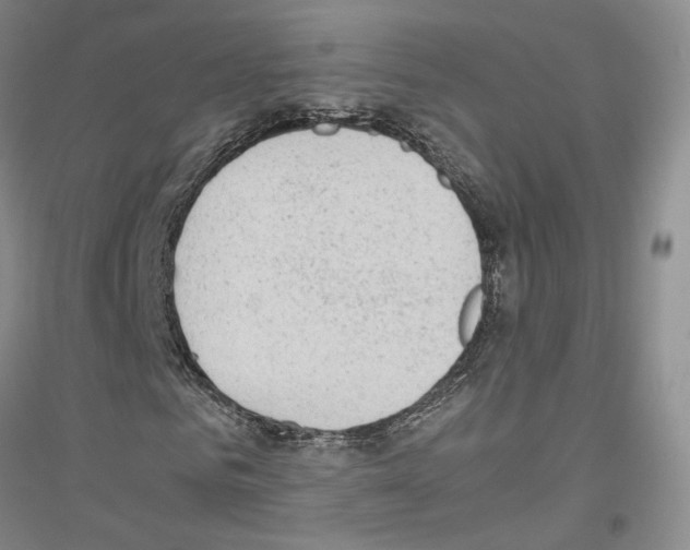 X0000116860961201002021103