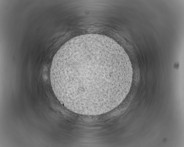 X0000116860962201002021103