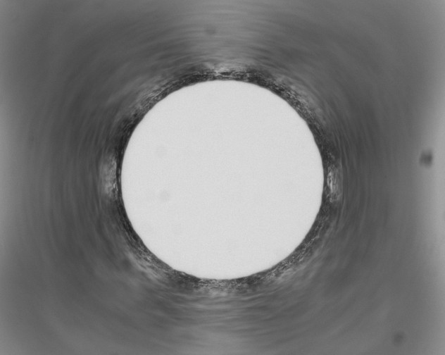 X0000116860963201002021103