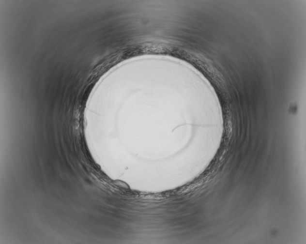 X0000116860964201002021103