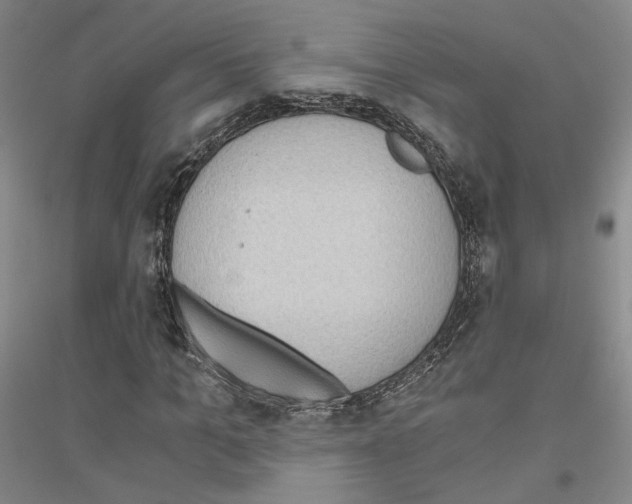 X0000116860965201002021103