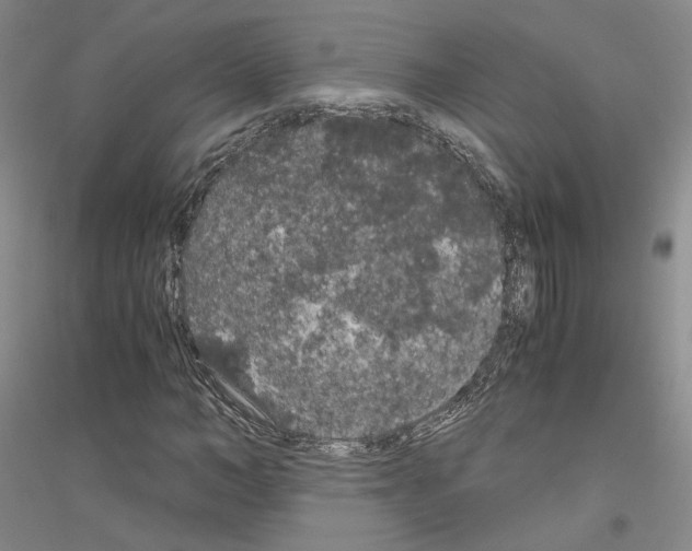 X0000116860966201002021103