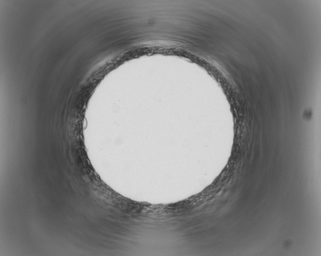 X0000116860967201002021103