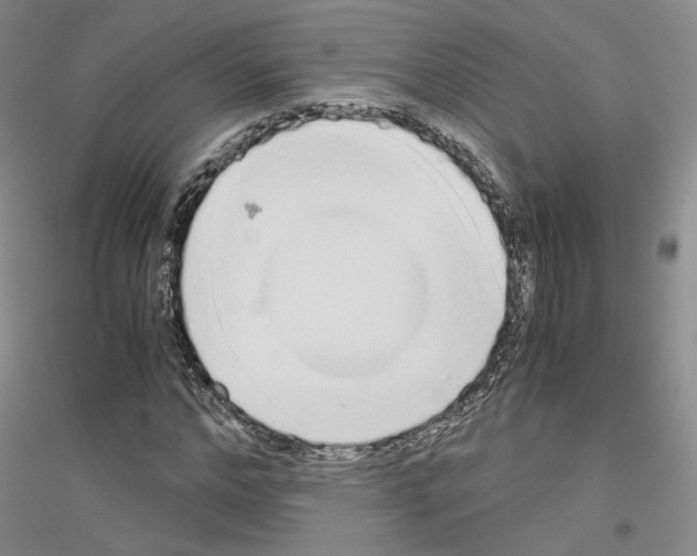 X0000116860968201002021103