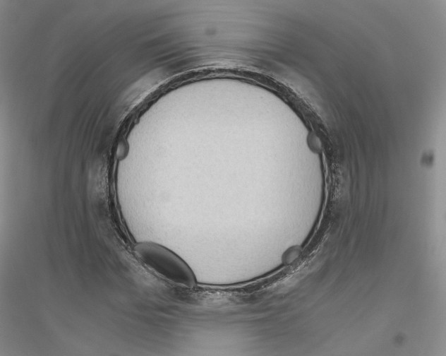 X0000116860969201002021103