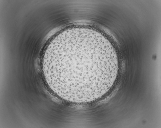 X0000116860970201002021103