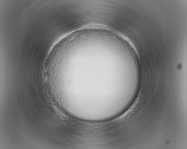 X0000116860973201002021103