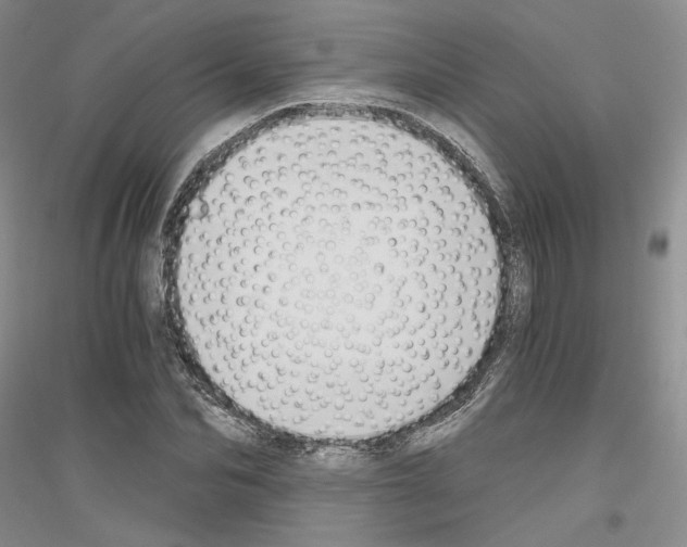 X0000116860974201002021103