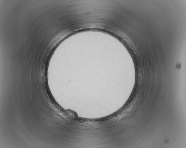 X0000116860977201002021103