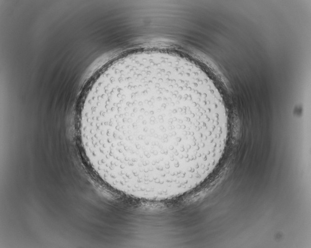 X0000116860978201002021103