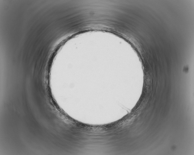 X0000116860979201002021103