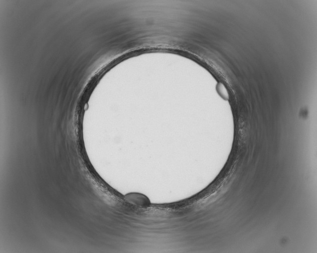 X0000116860981201002021103