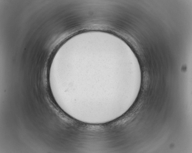 X0000116860982201002021103