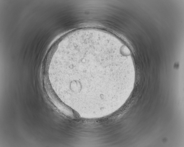 X0000116860983201002021102