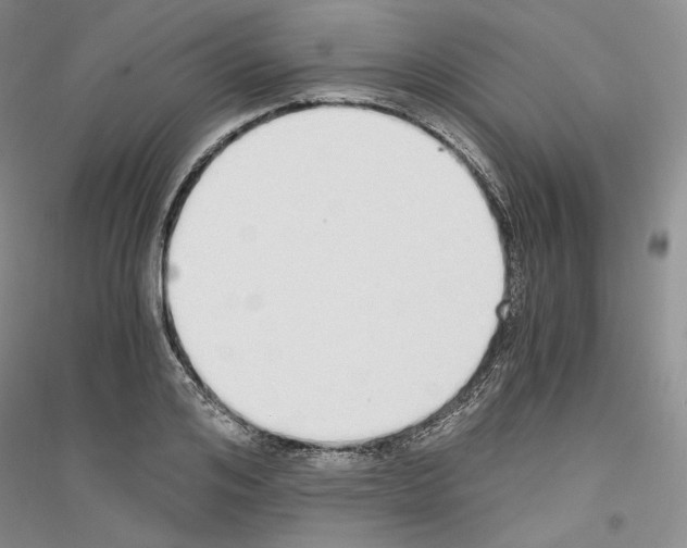 X0000116860984201002021102