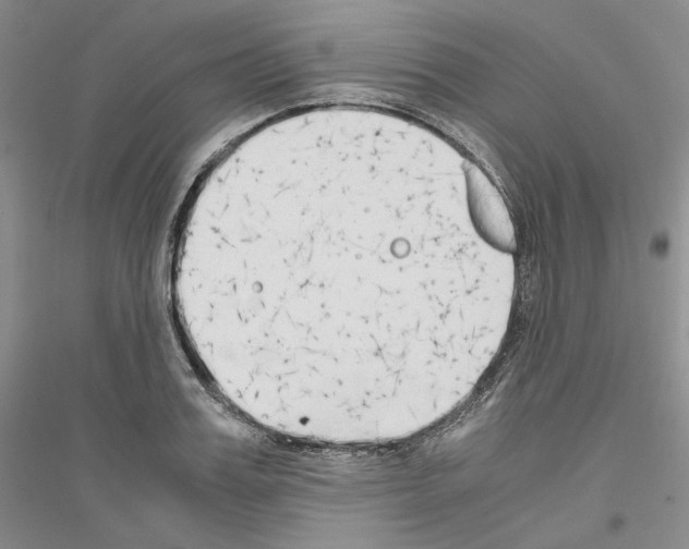 X0000116860987201002021102