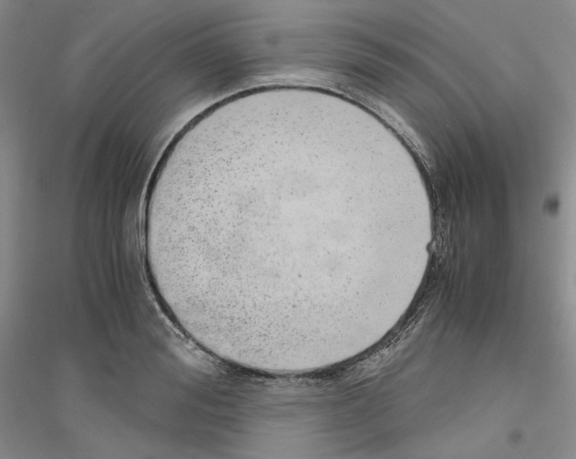 X0000116860988201002021102