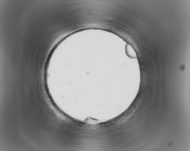 X0000116860991201002021102