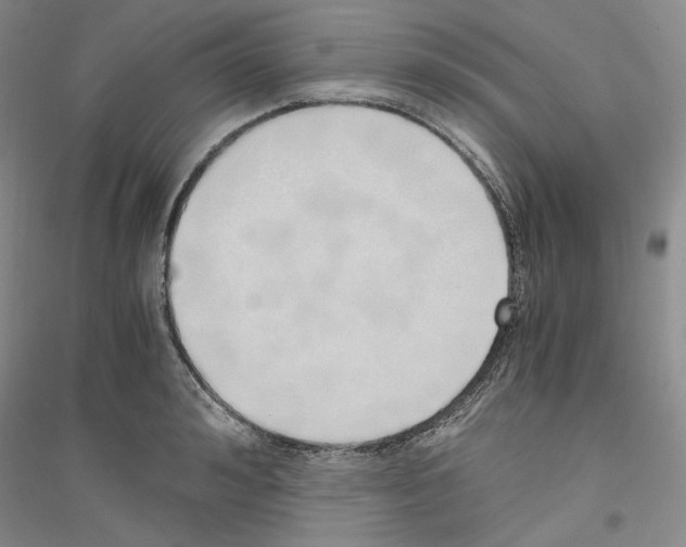 X0000116860992201002021102