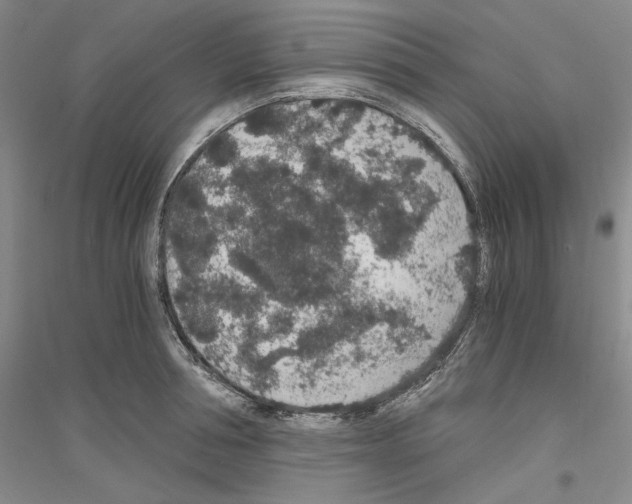 X0000116860994201002021102