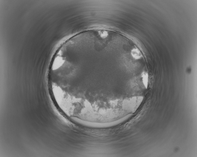 X0000116860995201002021102