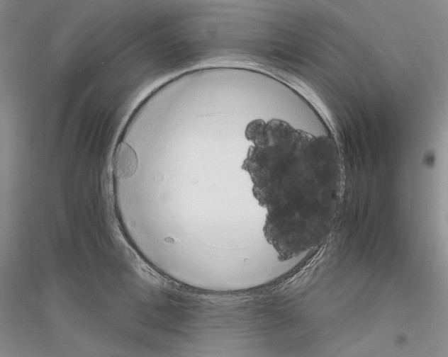 X0000116860996201002021102