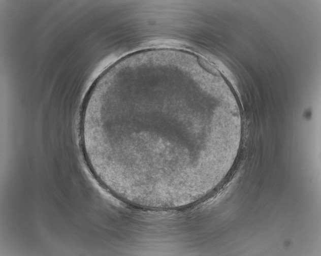 X0000116860997201002021102