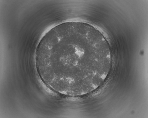 X0000116860998201002021102