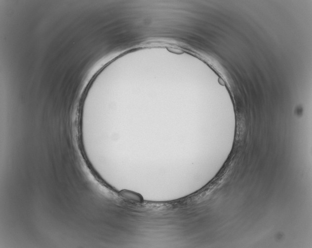 X0000116861003201002021102