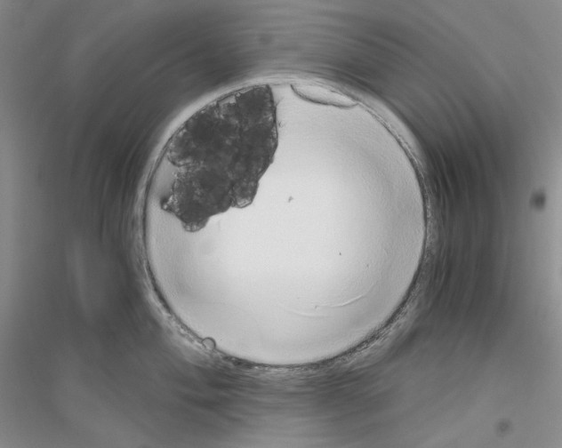 X0000116861004201002021102