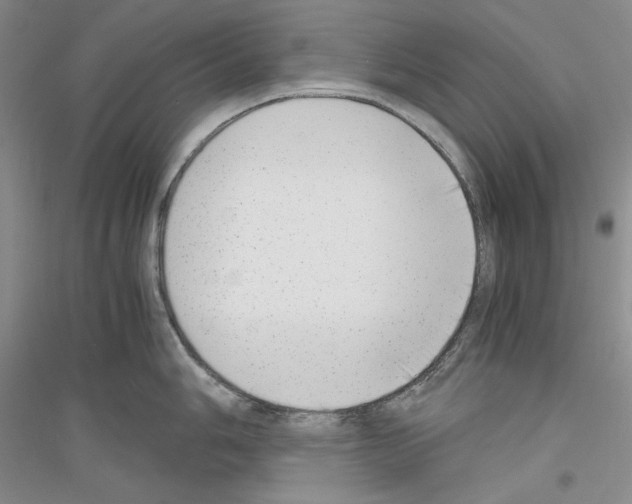 X0000116861006201002021102