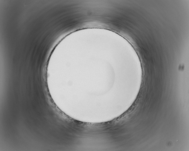 X0000116861008201002021102