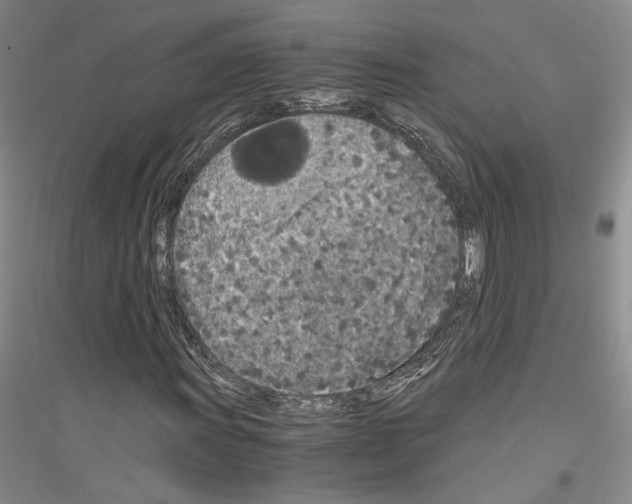 X0000116861011201002021102