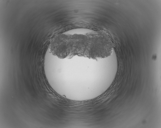 X0000116861012201002021102