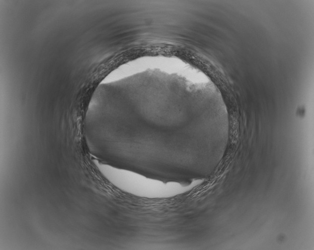 X0000116861013201002021102