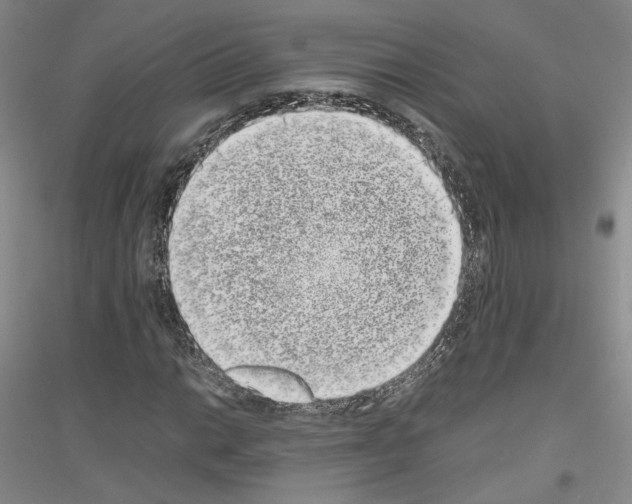 X0000116861014201002021102