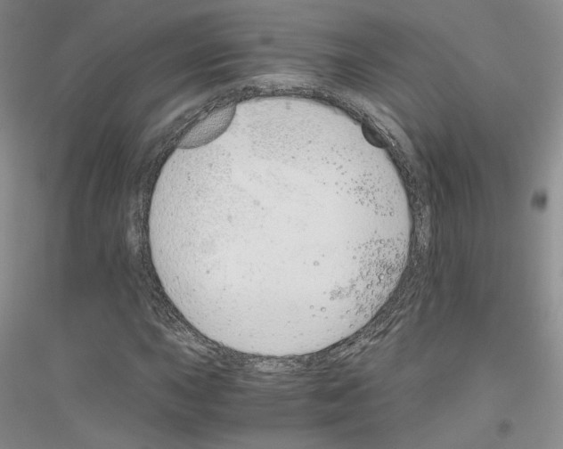 X0000116861015201002021102