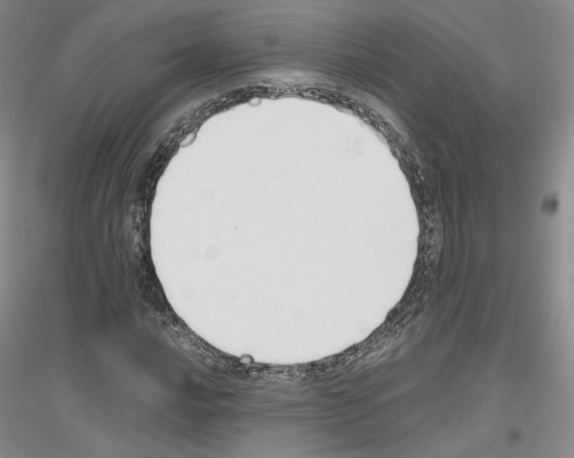 X0000116861016201002021102