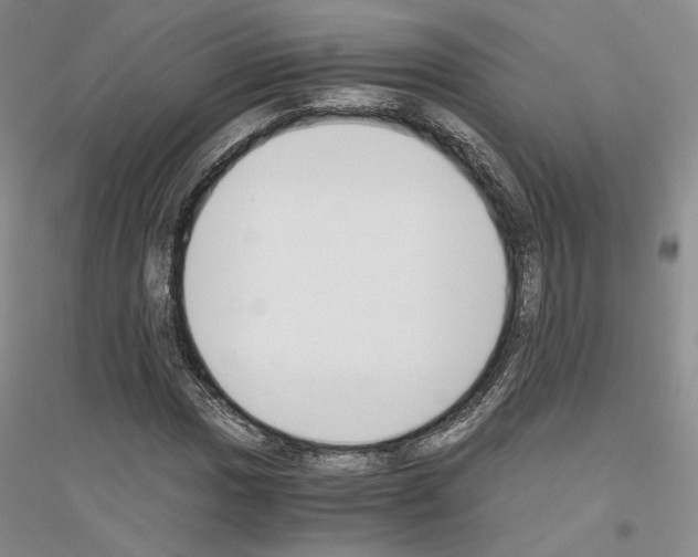 X0000116861017201002021102