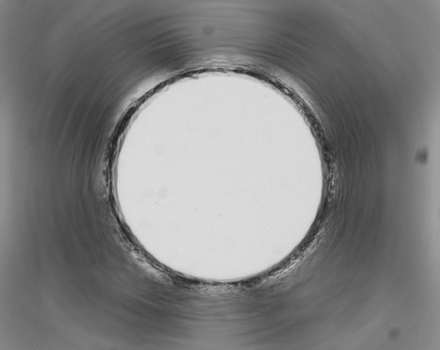 X0000116861018201002021102