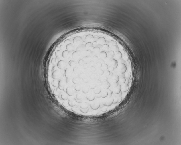 X0000116861022201002021102