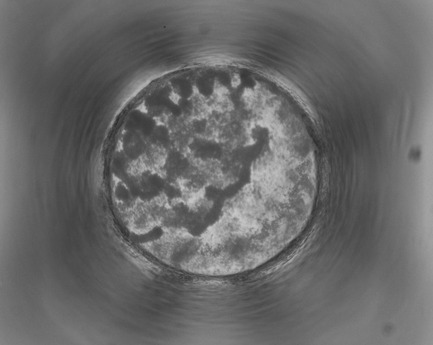 X0000116861023201002021102