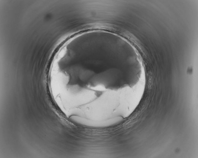 X0000116861024201002021102