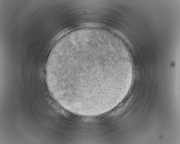 X0000116861025201002021102