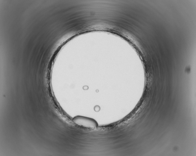 X0000116861026201002021102