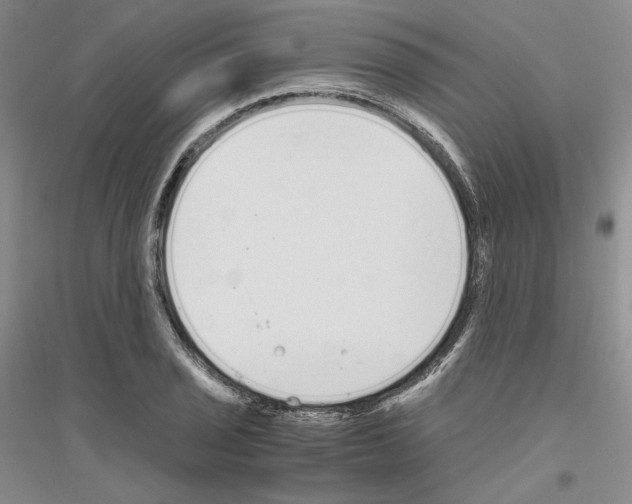 X0000116861029201002021102