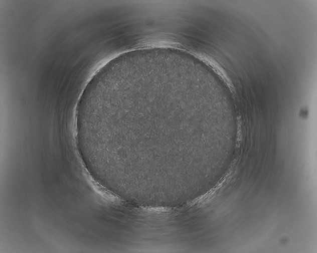 X0000116861031201002021102