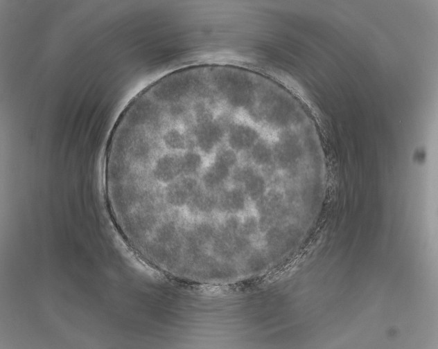 X0000116861032201002021102