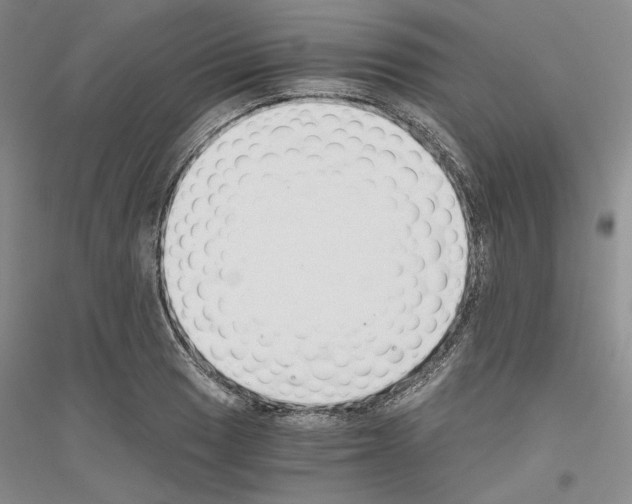 X0000116861033201002021102